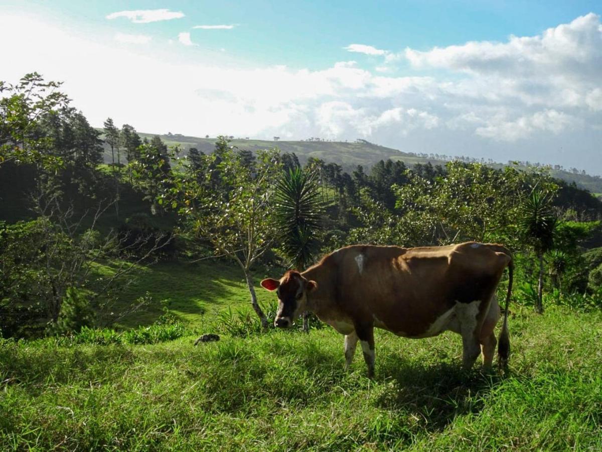Вілла Eco Granja Don Lolo Quesada  Екстер'єр фото